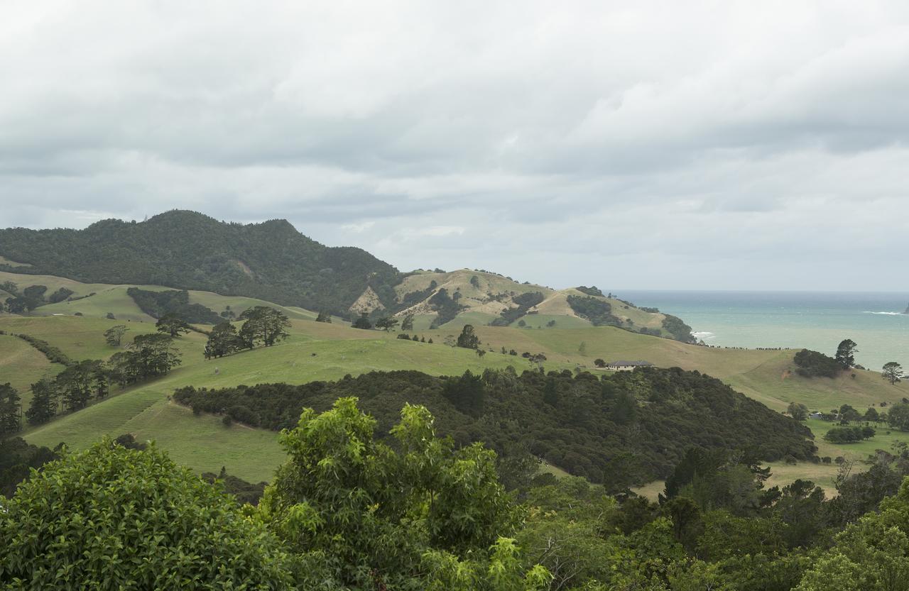 Ocean View B&B Whitianga Ngoại thất bức ảnh